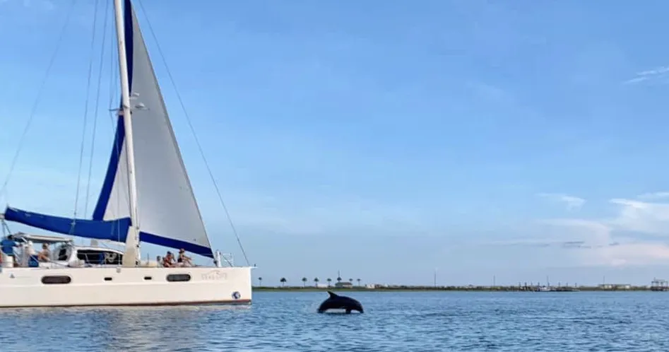 The sailing catamaran underway with sails full, cutting through open water